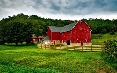 Het overnemen van een boerenbedrijf: de belangrijkste adviezen
