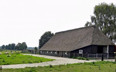 Hoe wordt mijn huis sneller warm?￼