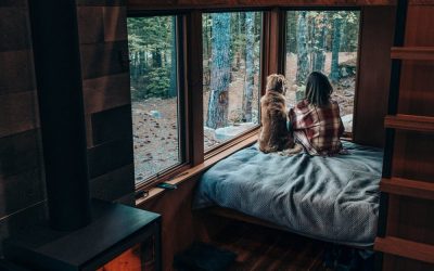 De brandduur van verschillende houtsoorten