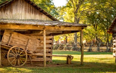 Houtrot in of om een schuur, dit kun je eraan doen