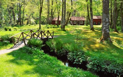 Hoe kun je je woning verduurzamen?