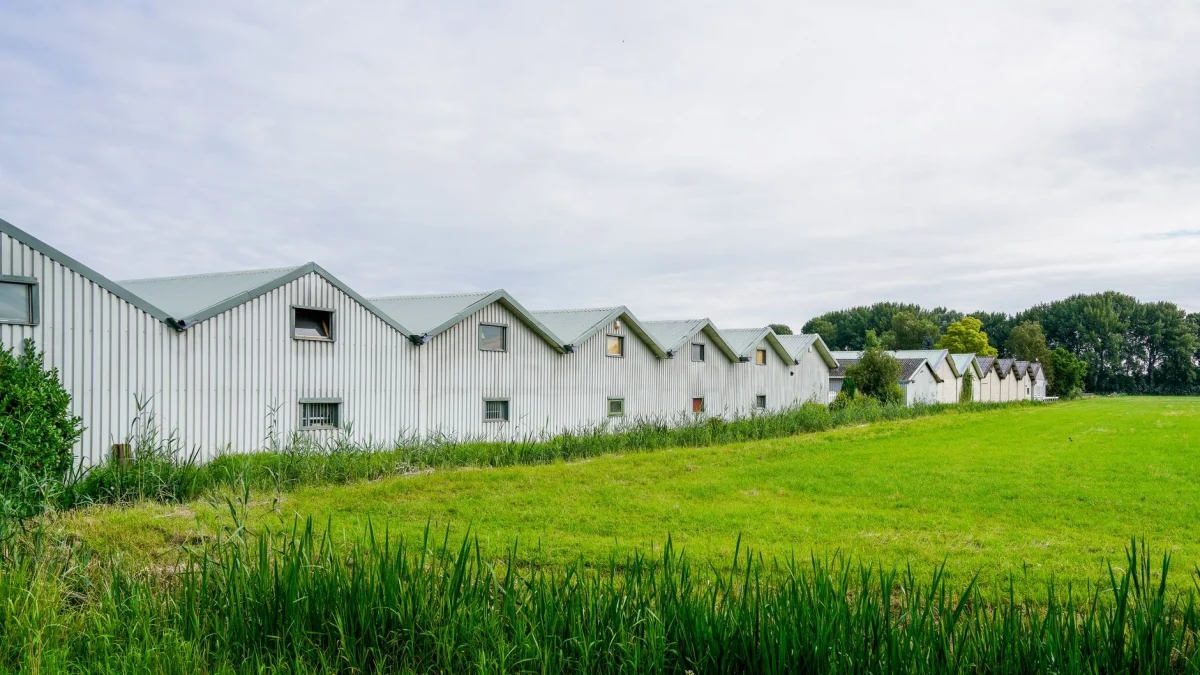 De transitie van de glastuinbouwsector