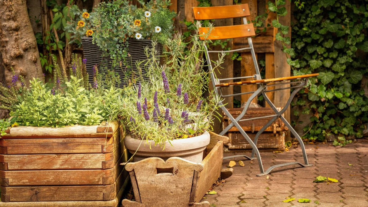 Hoe maak je je tuin een stukje mooier?